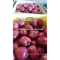 Huaniu Apples